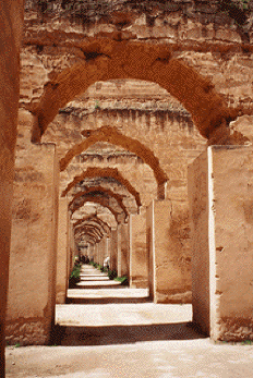 scenes from MOROCCO